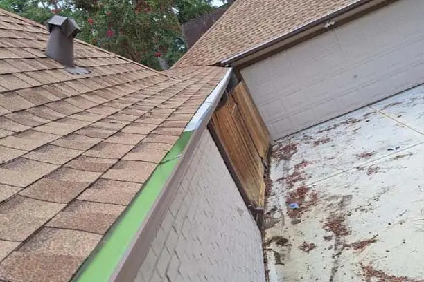 Gutter Cleaning